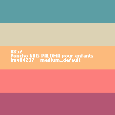 Poncho Terracotta pour dames