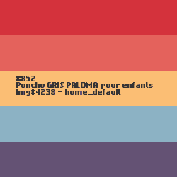 Poncho Terracotta pour dames