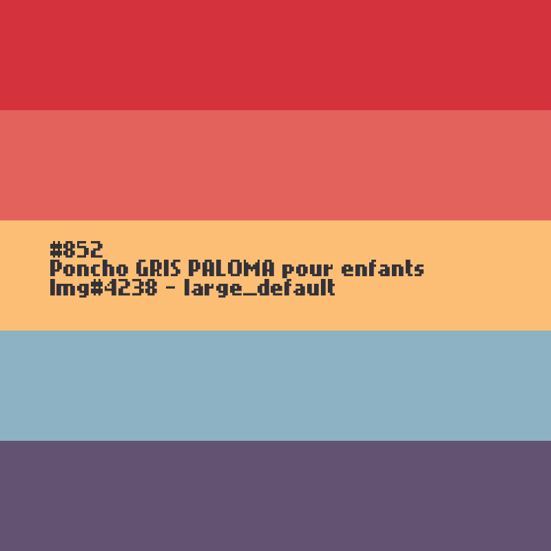 Poncho Terracotta pour dames