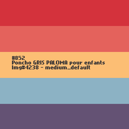 Poncho Terracotta pour dames