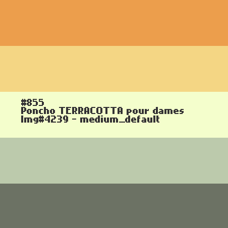 Poncho TERRACOTTA pour dames