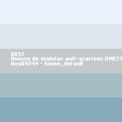 Matrashoes anti-allergie met rits