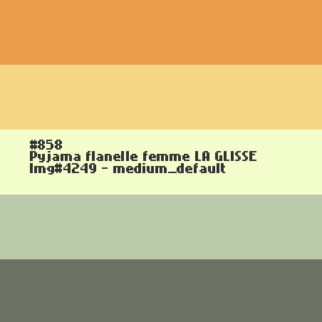 Pyjama flanelle femme LA GLISSE