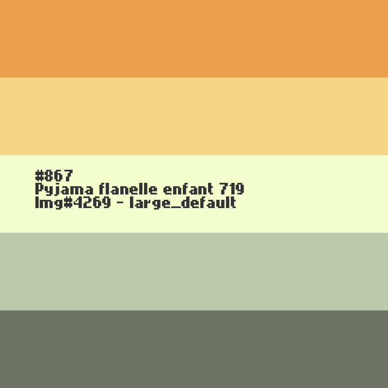 Pyjama flanelle enfant 719