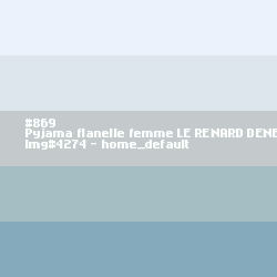 Pyjama flanelle femme Le Renard Déneige