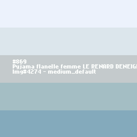 Flanellen damespyjama Le Renard Déneige