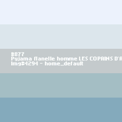 Pyjama flanelle homme Les copains d'abord