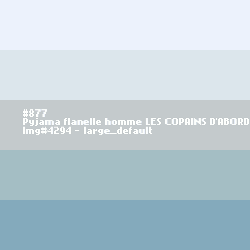 Pyjama flanelle homme Les copains d'abord