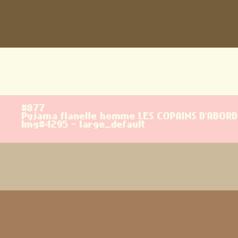 Pyjama flanelle homme Les copains d'abord