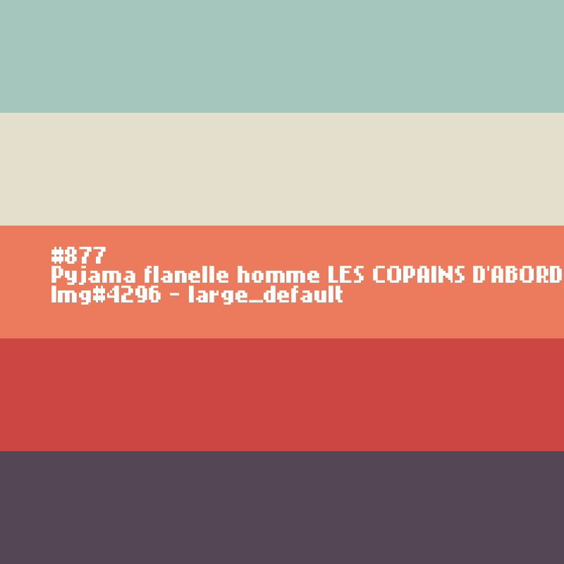 Pyjama flanelle homme Les copains d'abord