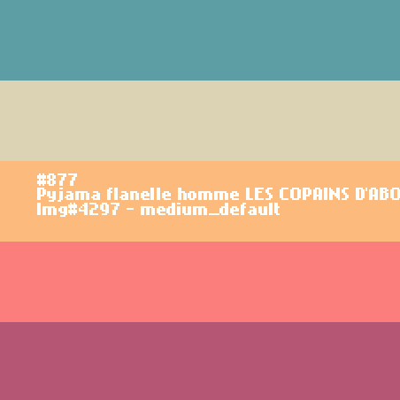 Pyjama flanelle homme Les copains d'abord