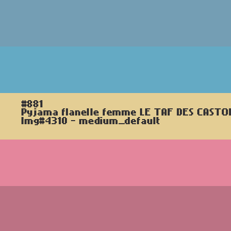 Pyjama flanelle femme Le taf des castors