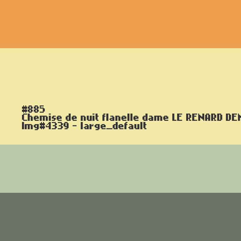 Nachthemd voor dames  Le Renard déneige