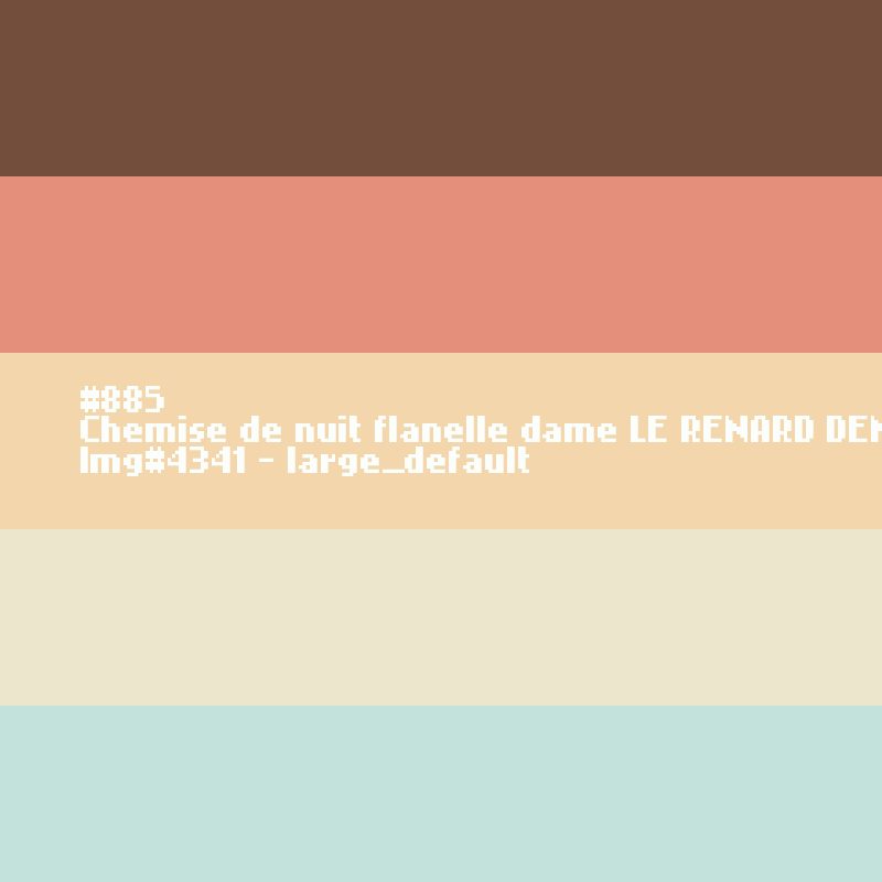 Nachthemd voor dames  Le Renard déneige