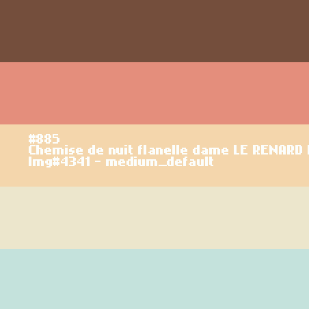 Chemise de nuit flanelle dame Le Renard déneige