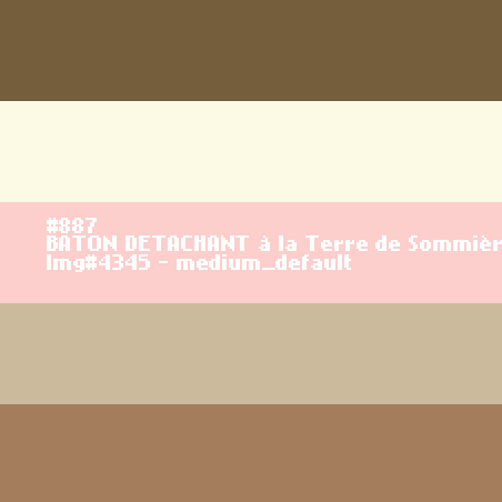 BATON DETACHANT à la Terre de Sommières