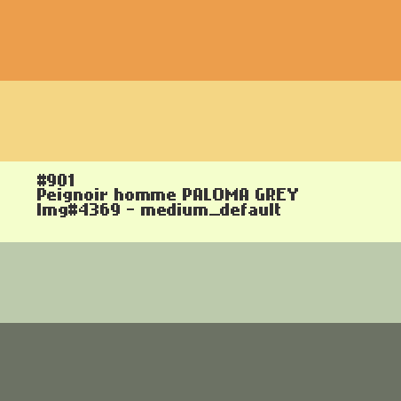Peignoir homme Paloma Grey