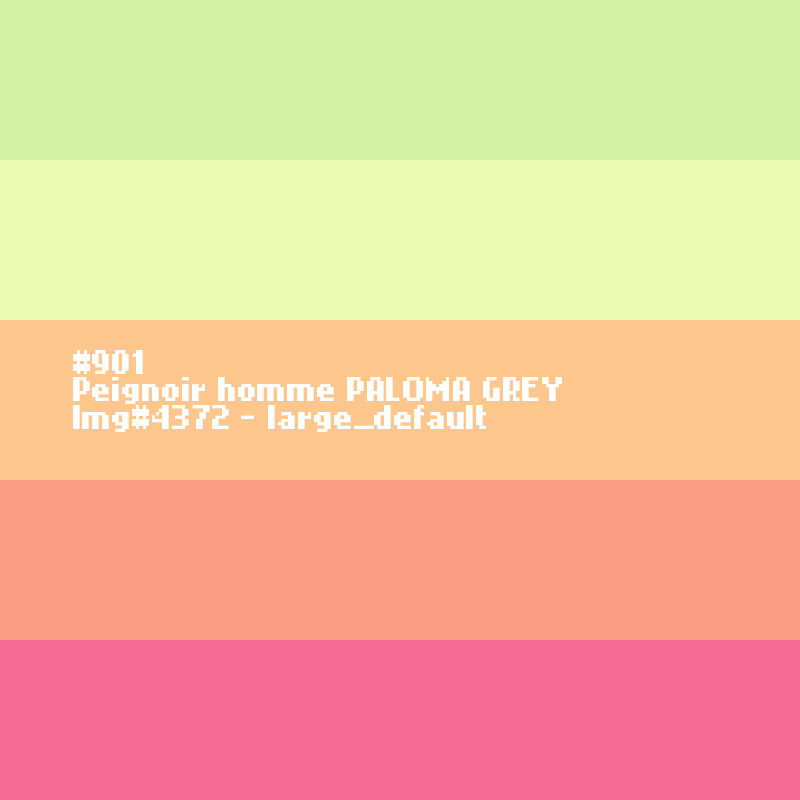 Peignoir homme Paloma Grey