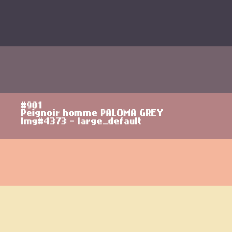 Peignoir homme Paloma Grey