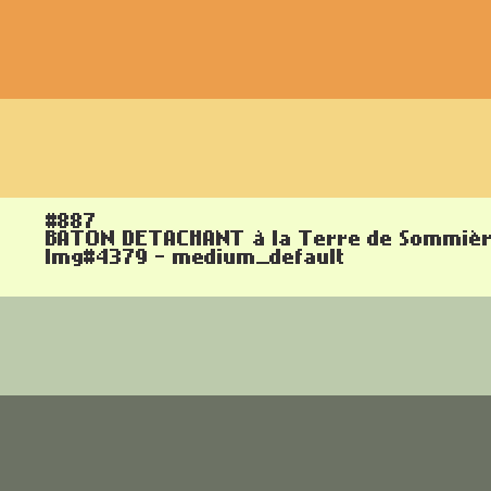 BATON DETACHANT à la Terre de Sommières