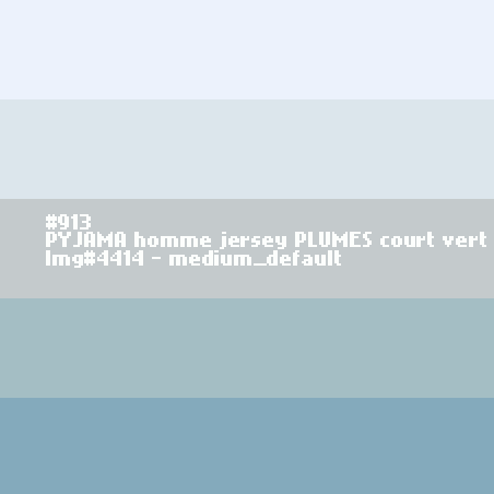 PYJAMA homme jersey Plumes court