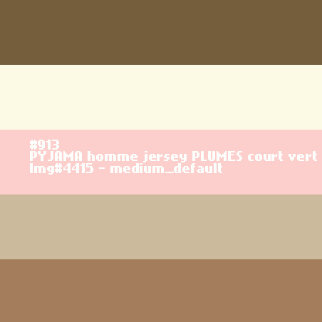 PYJAMA homme jersey Plumes court