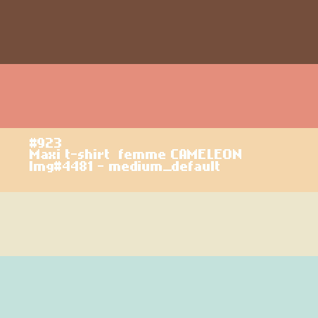 Maxi t-shirt  femme CAMELEON