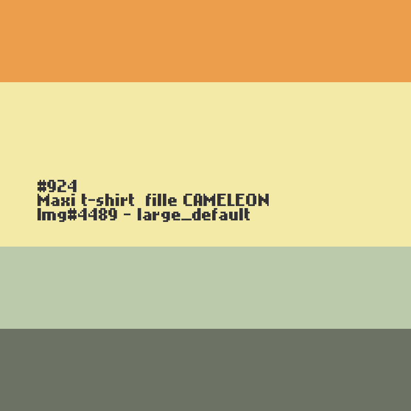 Nachthemd voor meisjes Kameleon