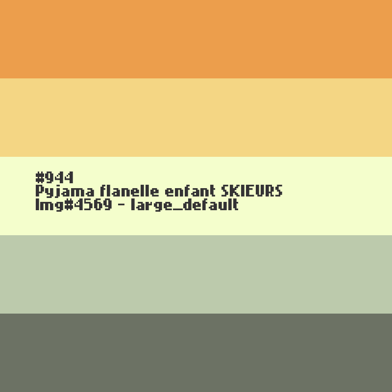 Pyjama flanelle enfant SKIEURS