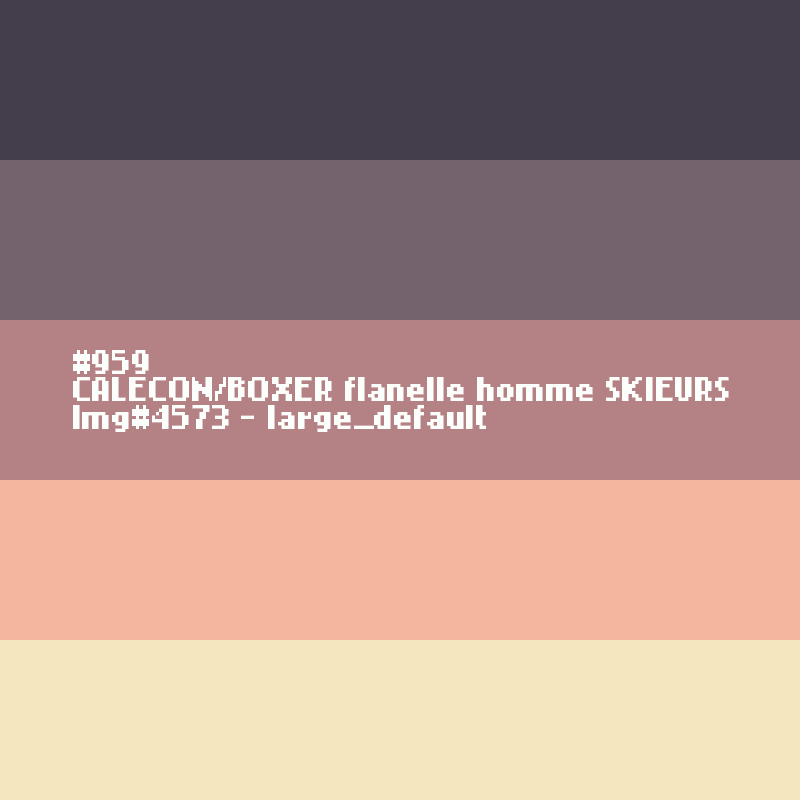 CALECON/BOXER flanelle homme SKIEURS