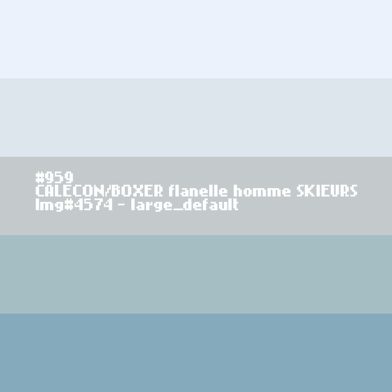 Flanellen BOXERSHORT voor heren Skiërs