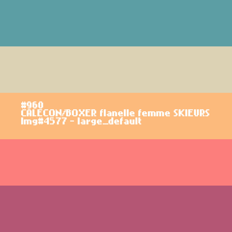 Flanellen BOXERSHORT voor vrouwen Skiërs