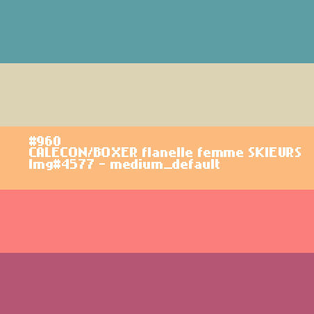 CALECON/BOXER flanelle femme SKIEURS