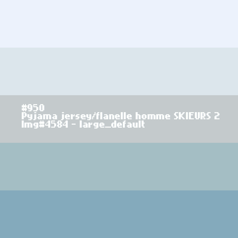 Pyjama jersey/flanelle homme SKIEURS 2