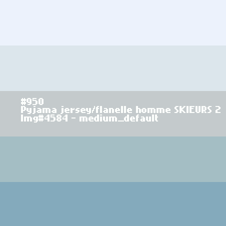 Jersey/flanellen pyjama voor mannen SKIERS 2