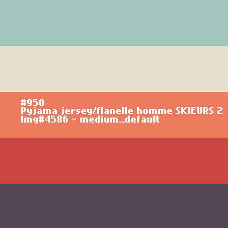 Pyjama jersey/flanelle homme SKIEURS 2