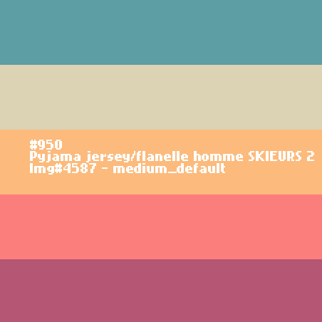 Pyjama jersey/flanelle homme SKIEURS 2