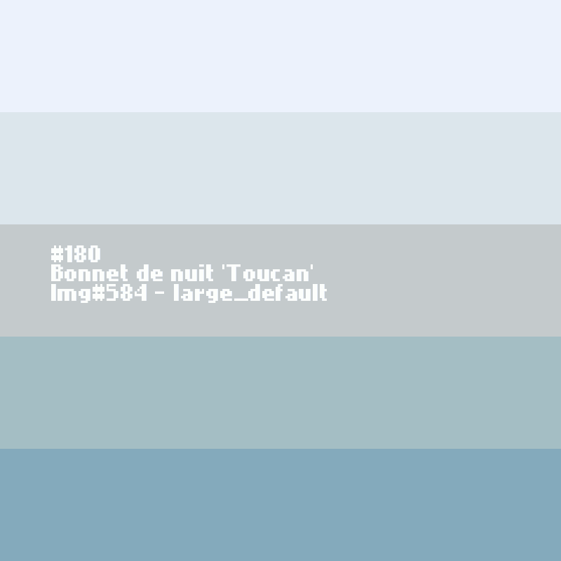 PYJAMA HOMME Flanelle 'Toucan'